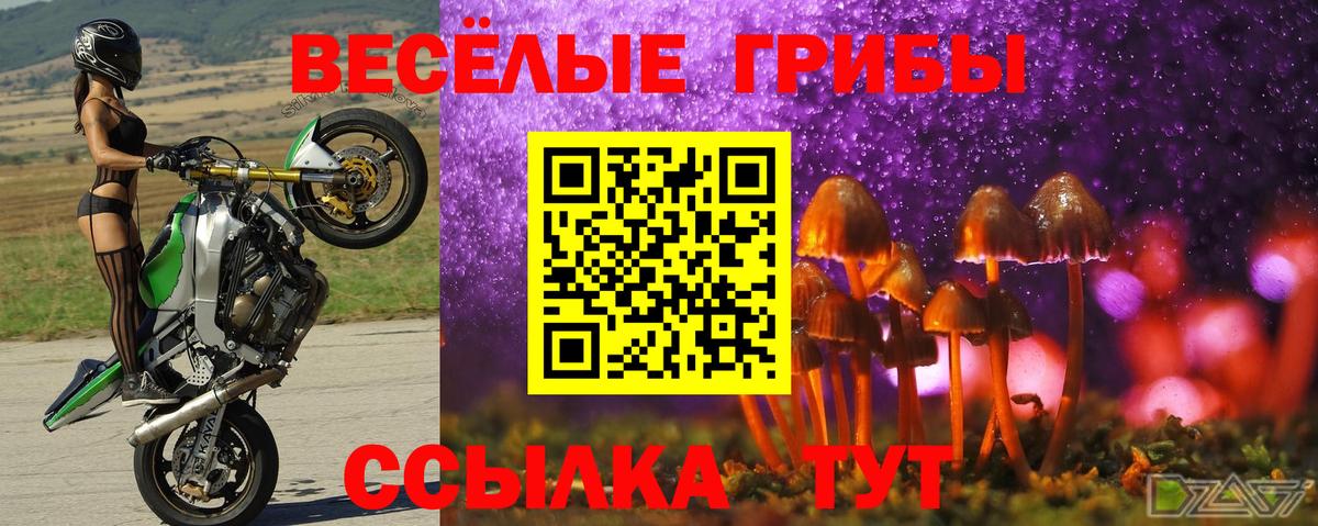 Псилоцибиновые грибы MAGIC MUSHROOMS  Вход с VPN  цены   Нижний Тагил 