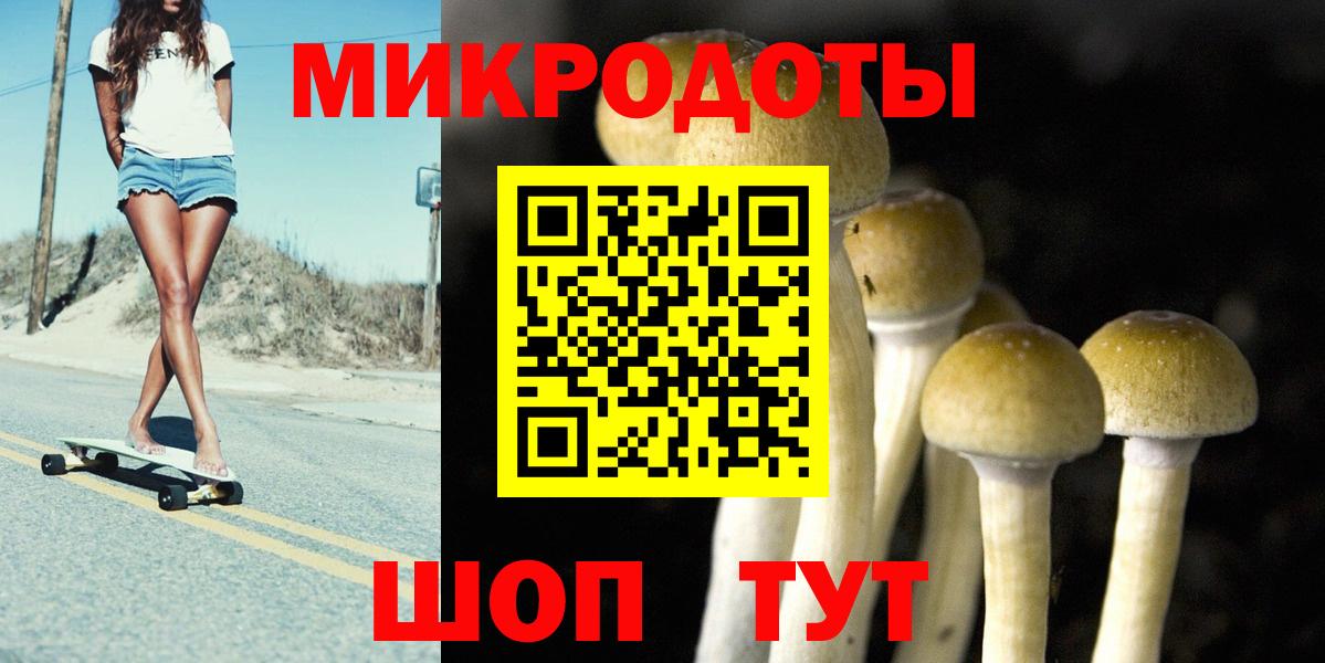 Галлюциногенные грибы Psilocybine cubensis Нижний Тагил
